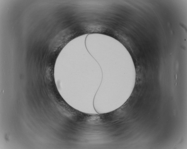 X0000103970162200809191407