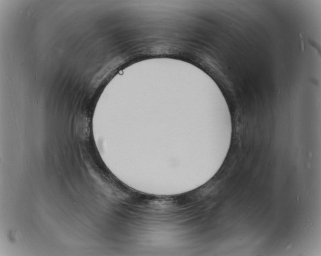 X0000103970164200809191407