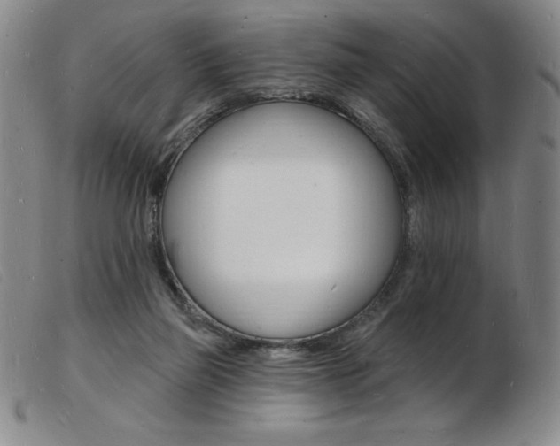 X0000103970165200809191407