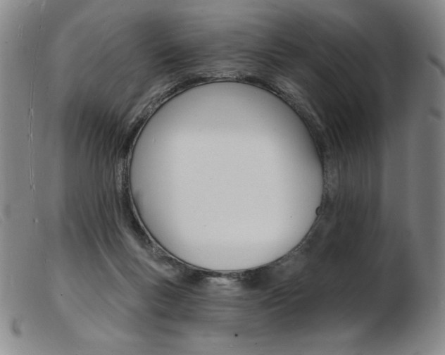 X0000103970167200809191407