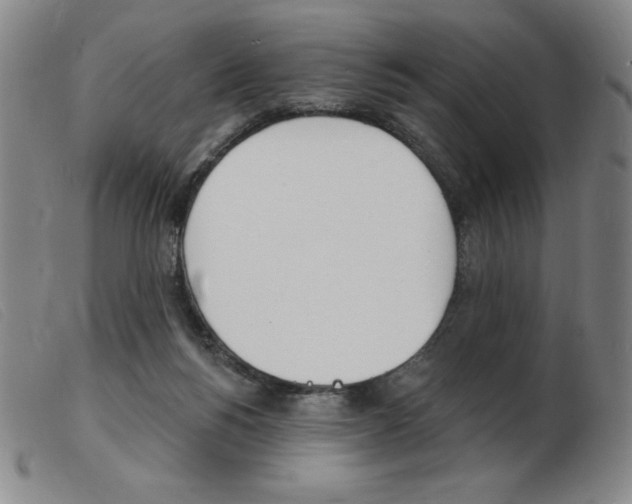 X0000103970168200809191407