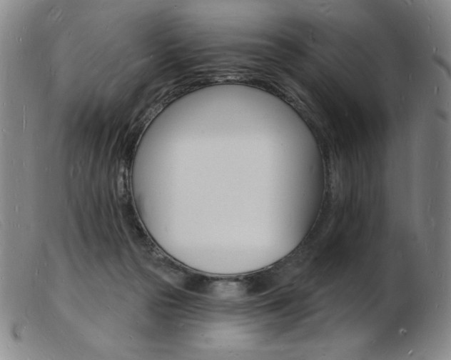 X0000103970169200809191407