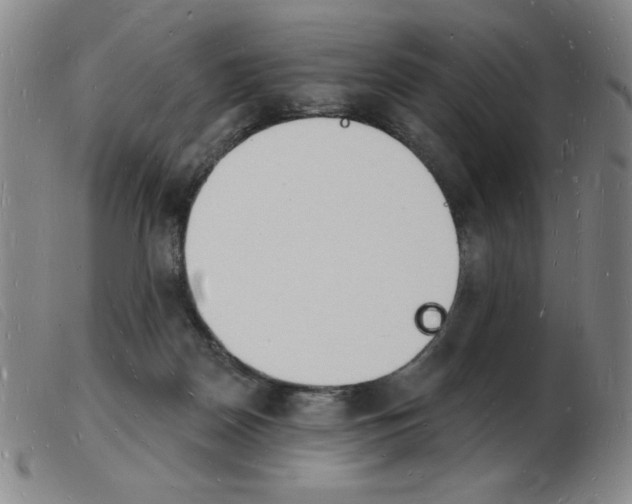 X0000103970170200809191408