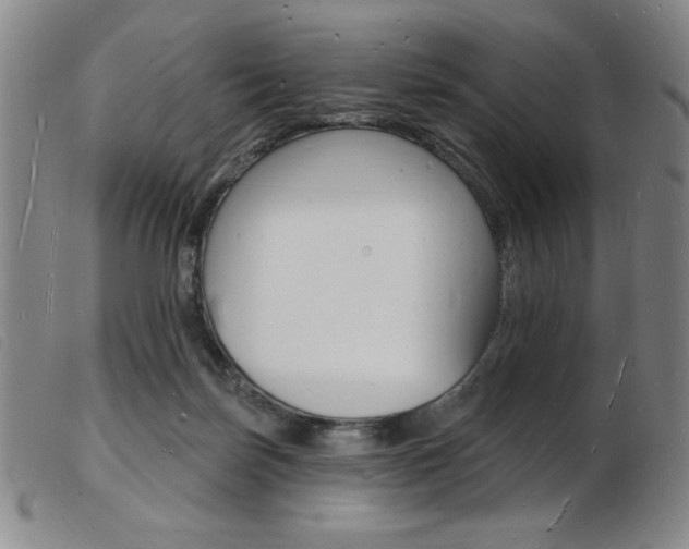 X0000103970171200809191408