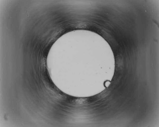 X0000103970172200809191408