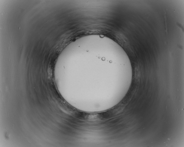 X0000103970173200809191408