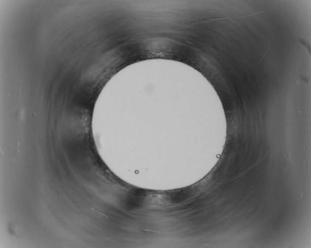 X0000103970174200809191408