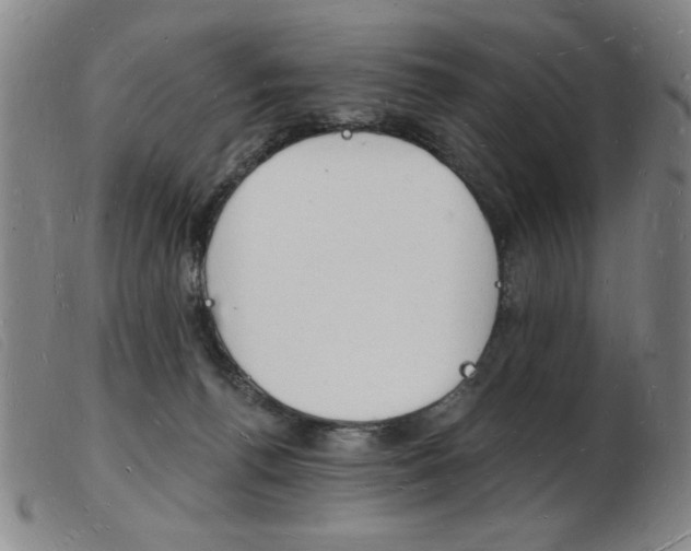 X0000103970176200809191408