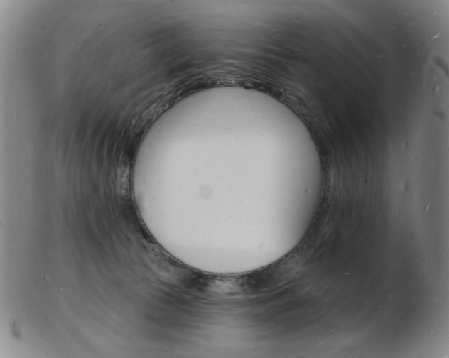 X0000103970177200809191408