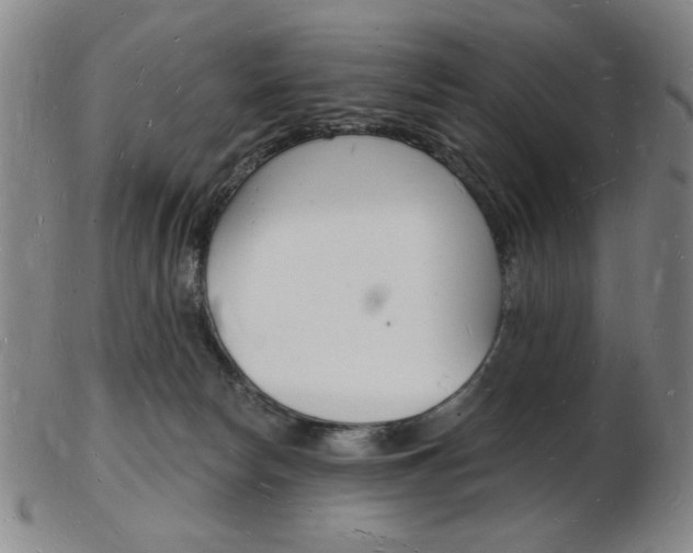 X0000103970178200809191408