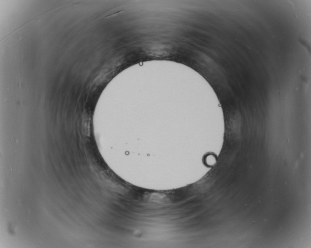 X0000103970180200809191408