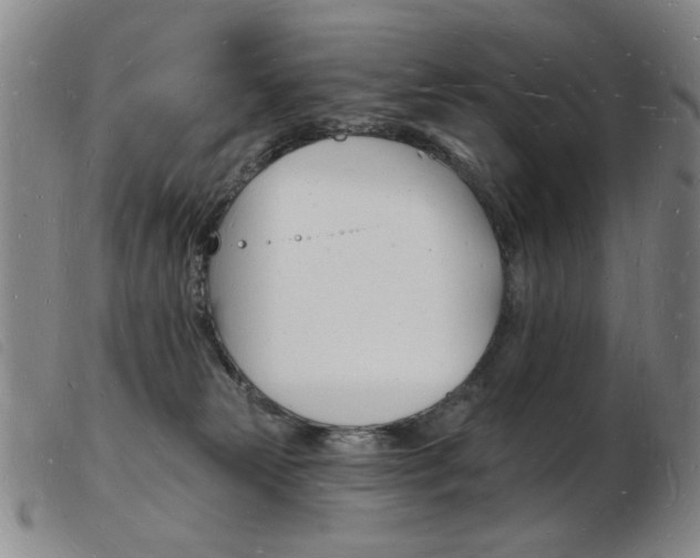 X0000103970181200809191408