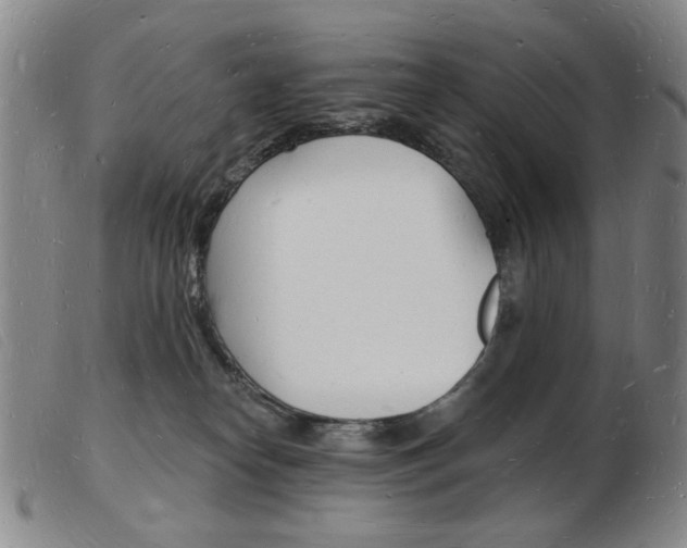 X0000103970182200809191408