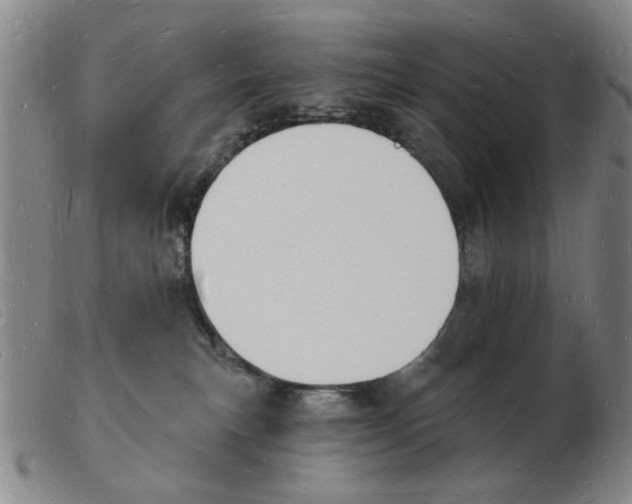 X0000103970183200809191408