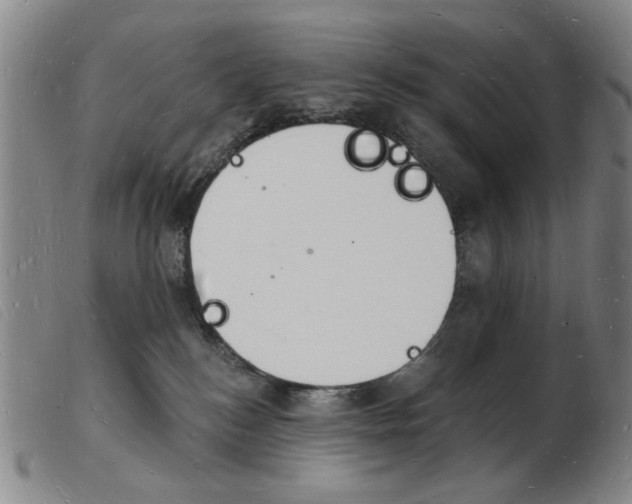 X0000103970184200809191408