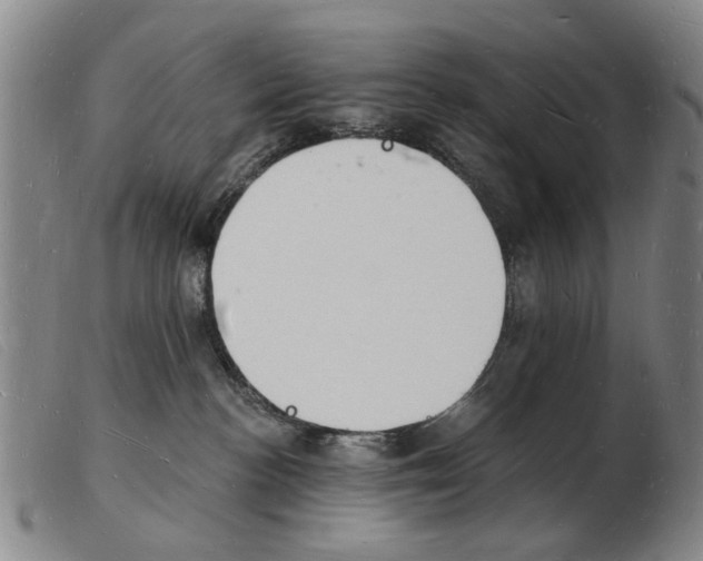 X0000103970188200809191408