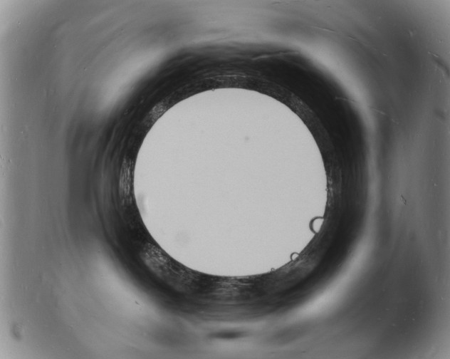 X0000103970190200809191408