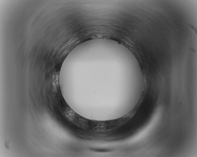 X0000103970191200809191408