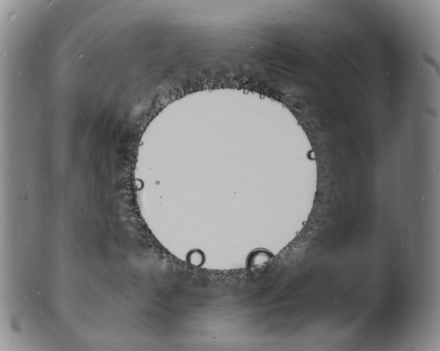 X0000103970192200809191408