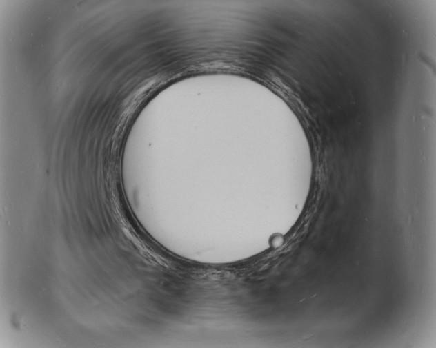 X0000103970193200809191407