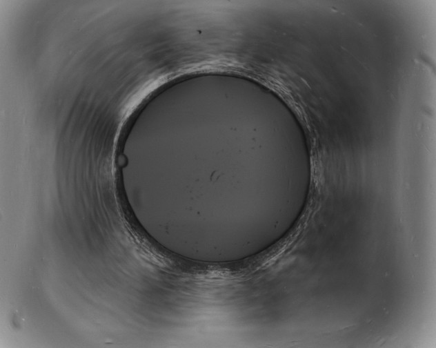 X0000103970196200809191407