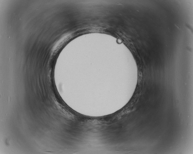 X0000103970197200809191407