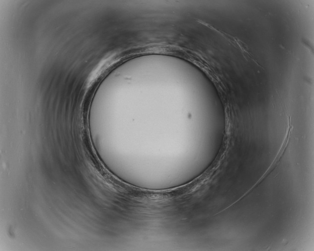 X0000103970198200809191407