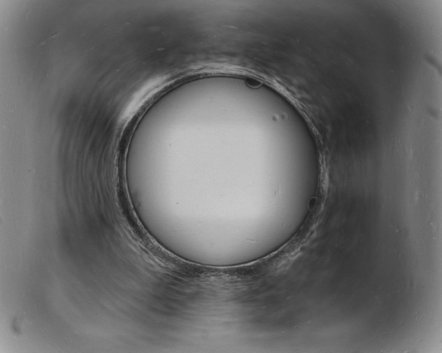 X0000103970199200809191407