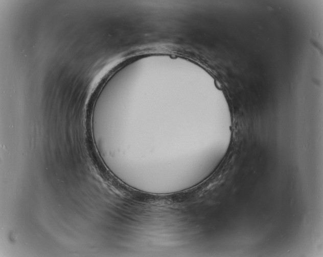 X0000103970200200809191407