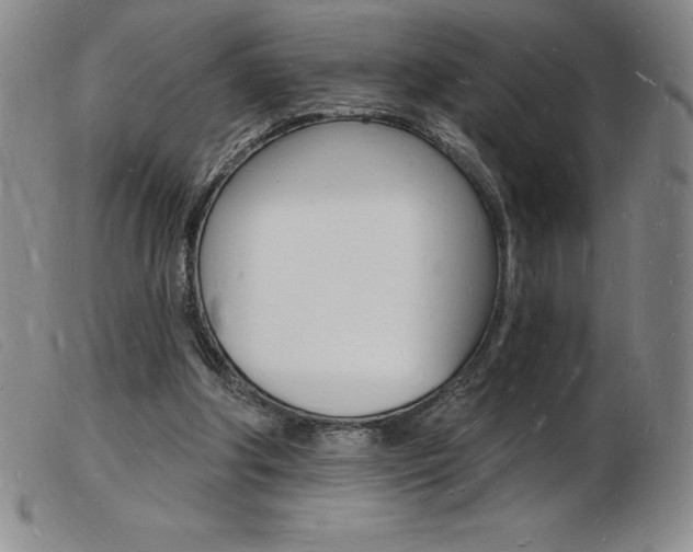 X0000103970202200809191407