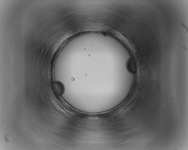 X0000103970203200809191407