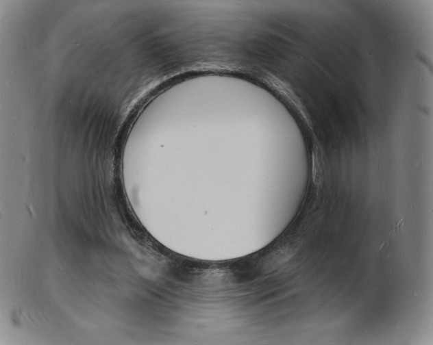 X0000103970204200809191407