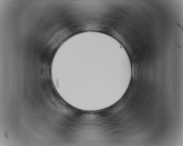 X0000103970205200809191407