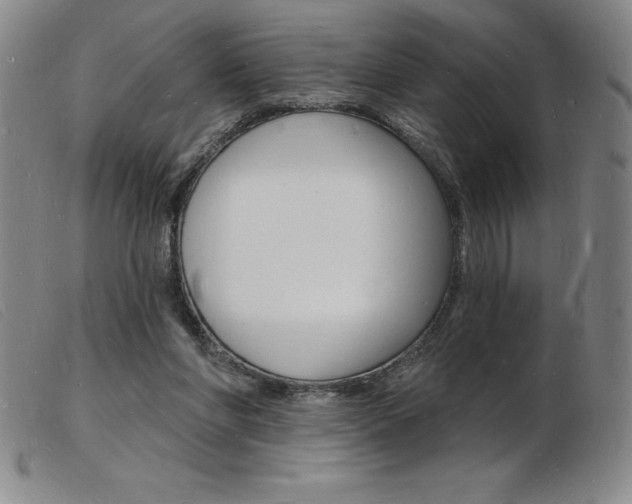 X0000103970206200809191407