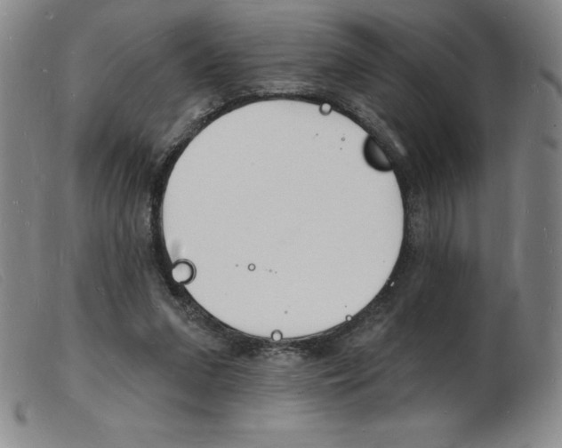 X0000103970207200809191407