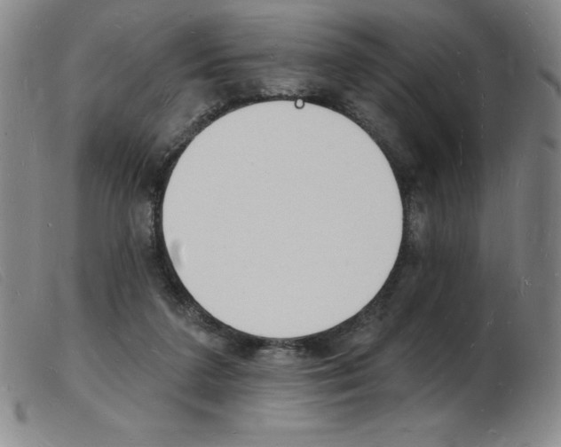 X0000103970211200809191407