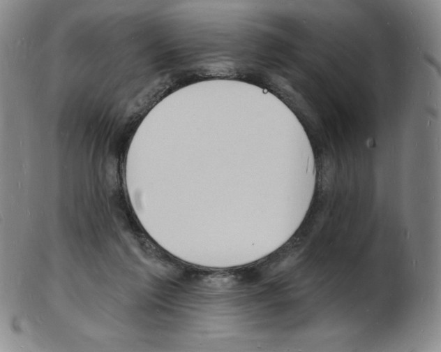 X0000103970213200809191407