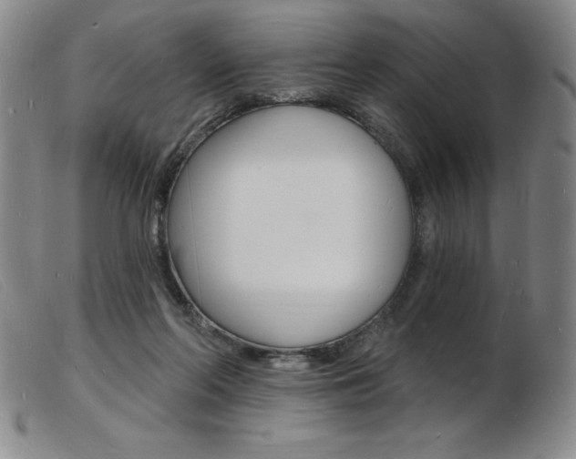 X0000103970214200809191407