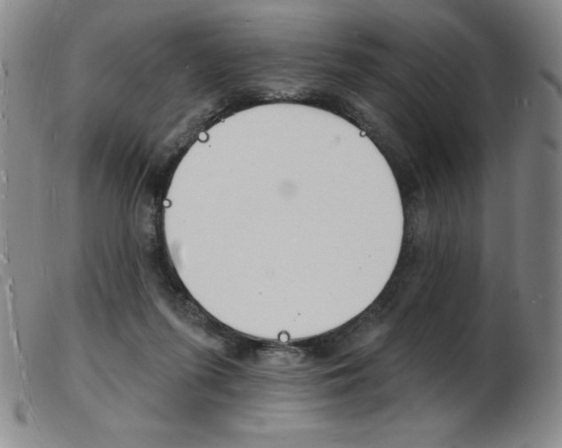 X0000103970215200809191407