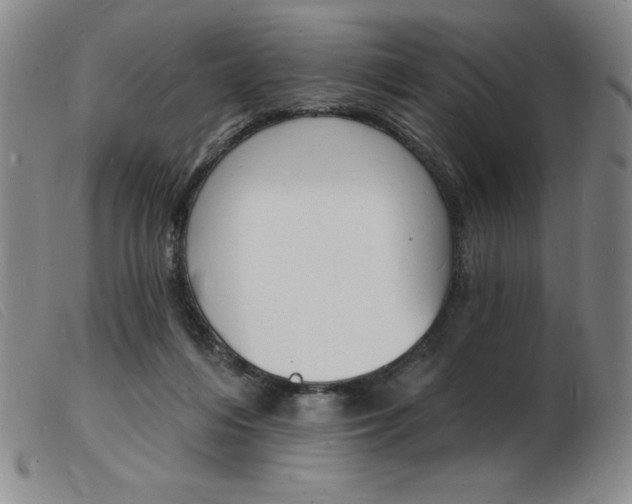 X0000103970216200809191407