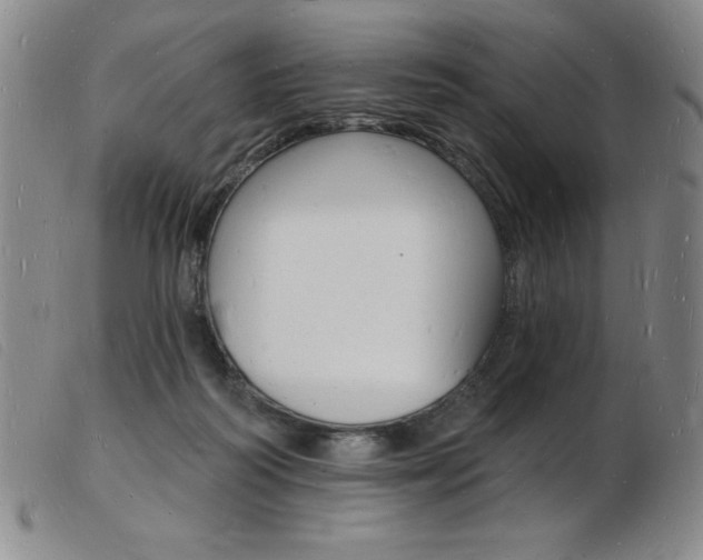 X0000103970218200809191407