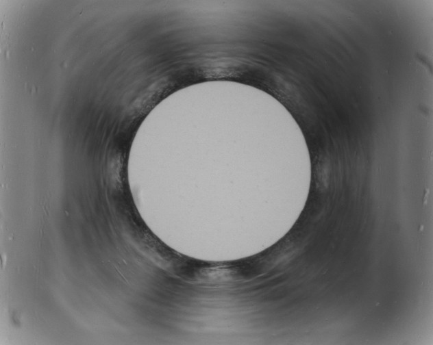 X0000103970219200809191407