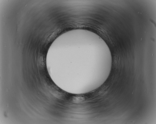 X0000103970220200809191407