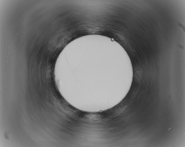 X0000103970221200809191407