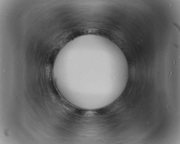 X0000103970222200809191407