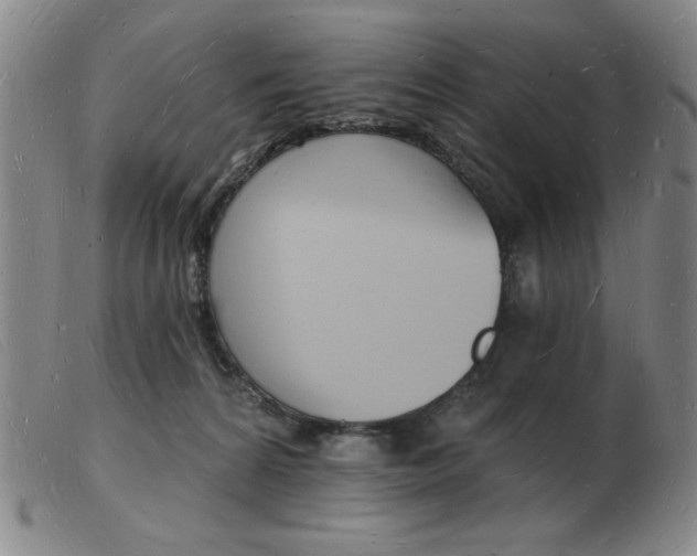 X0000103970224200809191406