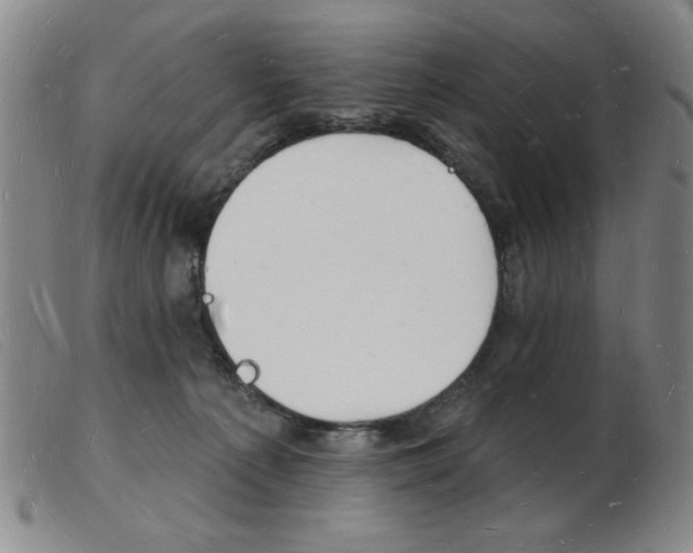 X0000103970225200809191406