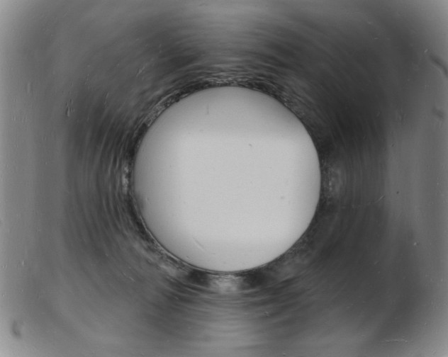 X0000103970226200809191406