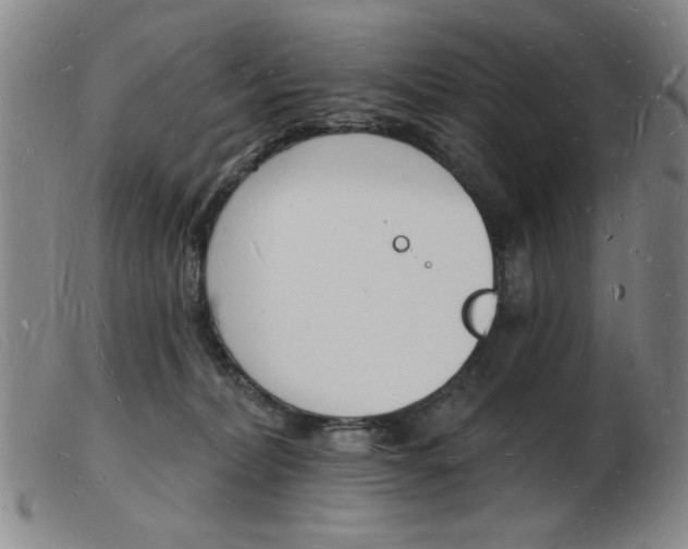 X0000103970228200809191406