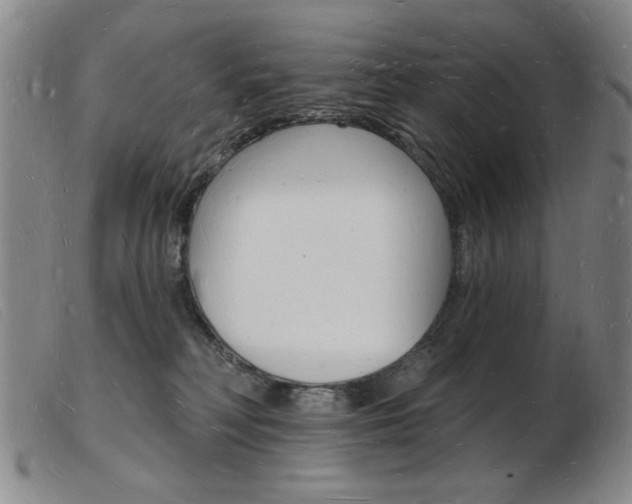 X0000103970230200809191406